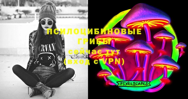PSILOCYBIN Алексеевка